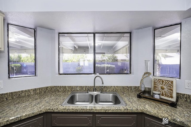 kitchen with a sink and dark brown cabinets