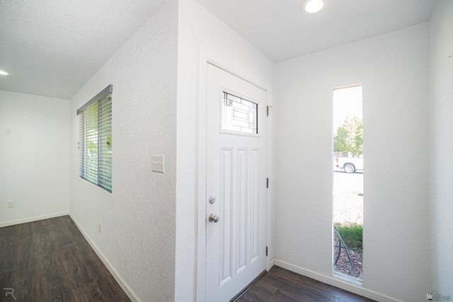 foyer with dark hardwood / wood-style flooring and plenty of natural light