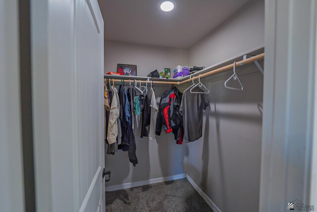 spacious closet featuring carpet floors