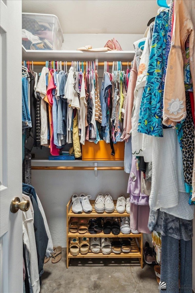 view of walk in closet