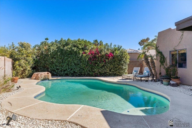 view of swimming pool featuring a fenced in pool, a fenced backyard, and a patio