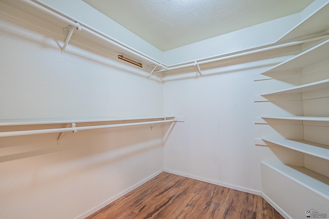 spacious closet with hardwood / wood-style flooring