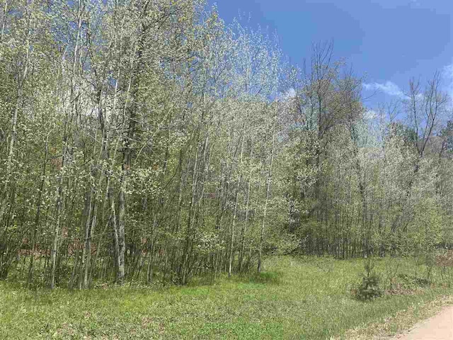 Lime Ridge Rd, Shawano WI, 54166 land for sale