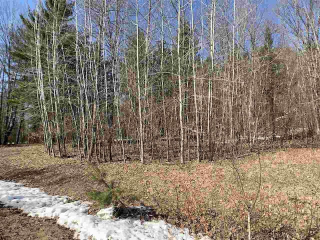 Listing photo 3 for Lime Ridge Rd, Shawano WI 54166