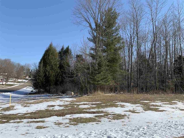 LOT7 Nicholas Ave, Wittenberg WI, 54499 land for sale