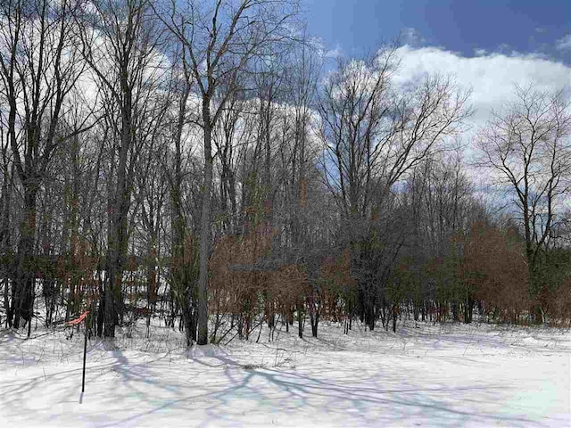 LOT13 Jason St, Wittenberg WI, 54499 land for sale