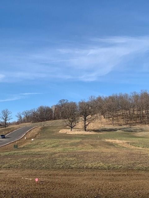 LOT30 Aspen Ct, Independence, WI 54747