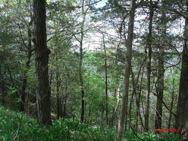 Listing photo 2 for 57AC Water St, Montello WI 53949