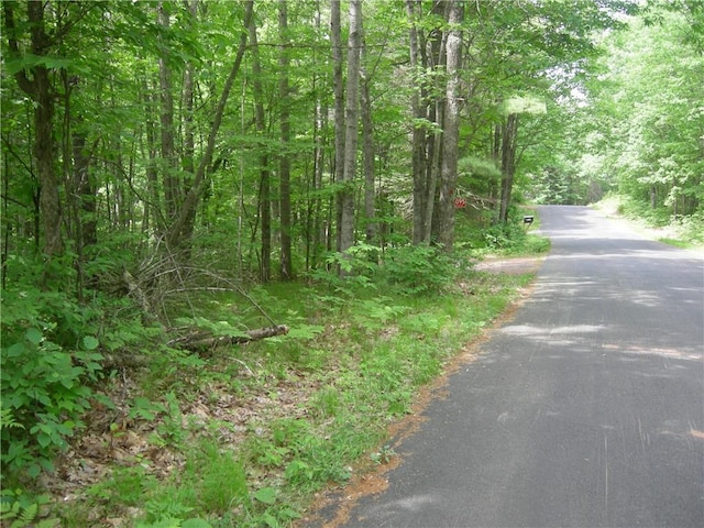 Listing photo 3 for 0 Tahkodah Lake Rd, Cable WI 54821