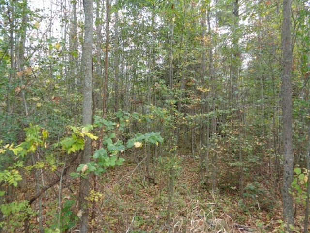 Lt0 Cth G, Suring WI, 54174 land for sale