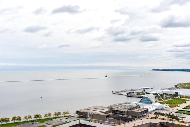 aerial view with a water view