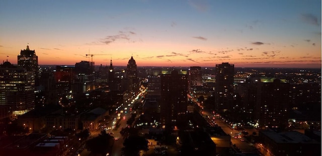 nature at dusk with a view of city