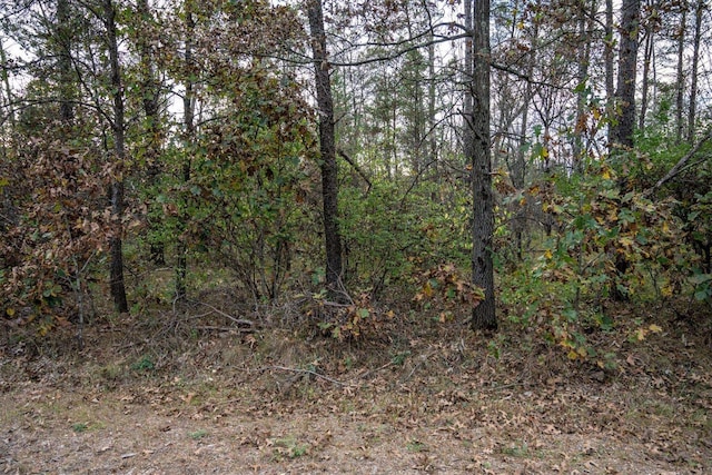 LOTS237 Woodland Trl, New Lisbon WI, 53950 land for sale