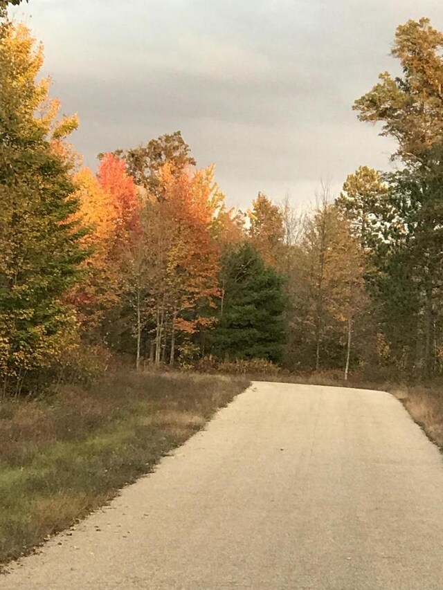 LT9 Finelli Ave, Crivitz, WI 54114