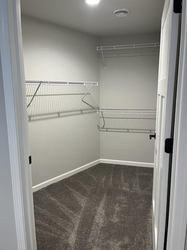 walk in closet featuring carpet flooring