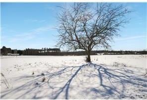 LOT1A W Walnut St, Strum WI, 54770 land for sale