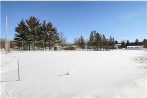 Listing photo 3 for LOT1A W Walnut St, Strum WI 54770