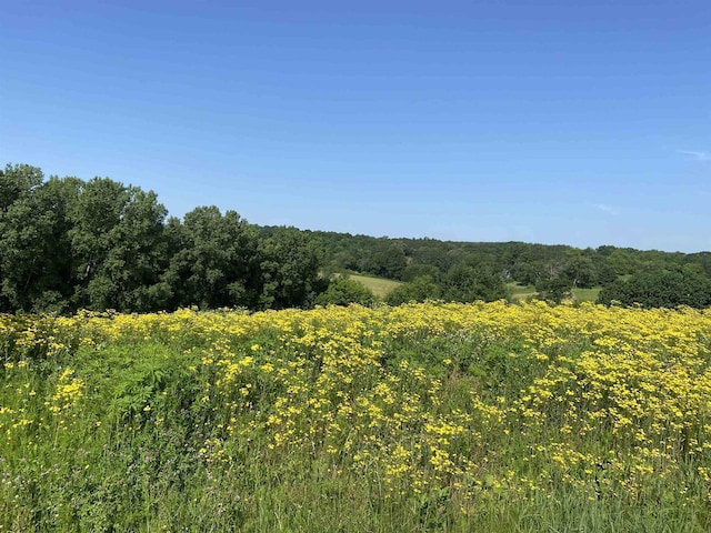 Listing photo 3 for LOT10 Hemmingford Ave, Tomah WI 54660