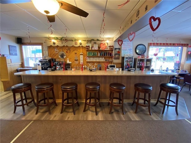 bar featuring ceiling fan and light hardwood / wood-style flooring