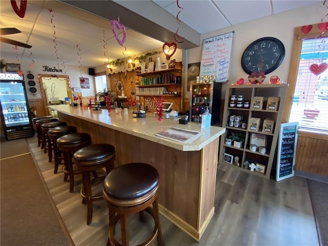 bar with dark hardwood / wood-style flooring and plenty of natural light