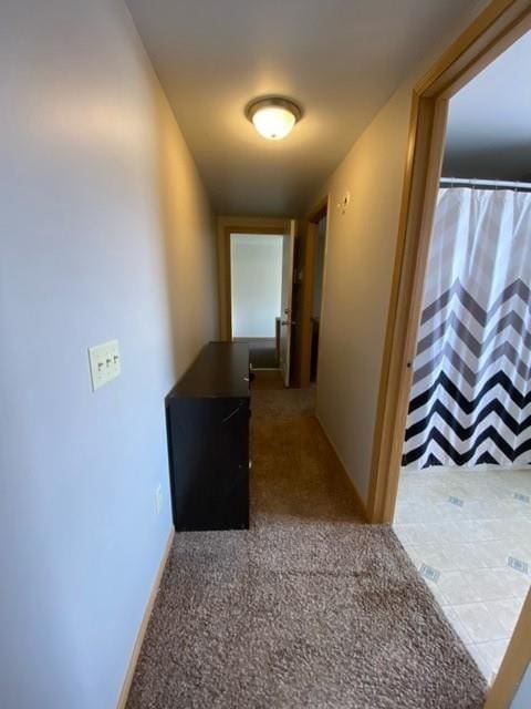 hallway with carpet floors