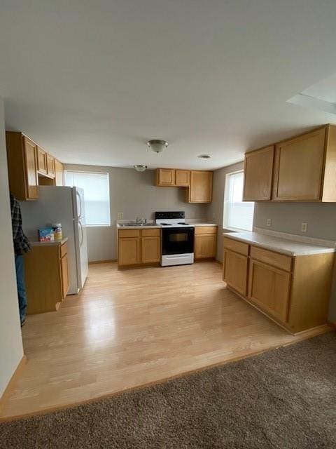 kitchen featuring light hardwood / wood-style flooring, sink, white appliances, and light brown cabinets