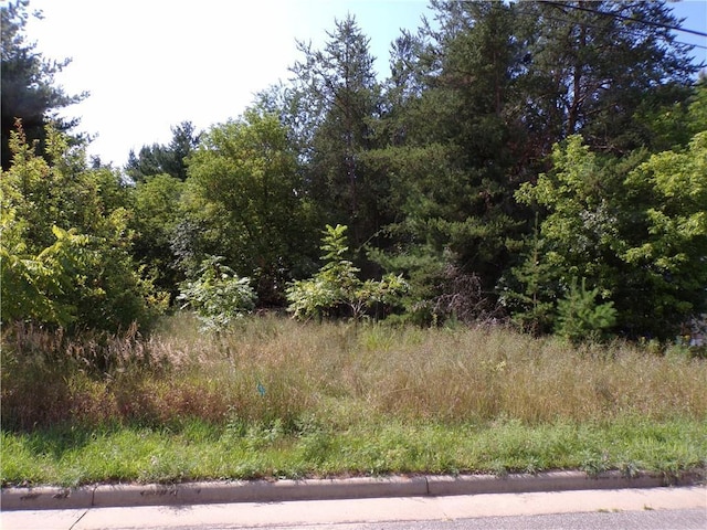 1707 Mitchell Ave, Eau Claire WI, 54701 land for sale