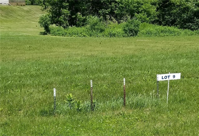 LOT9 Nelson Dr, Elmwood WI, 54740 land for sale