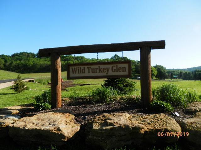 L10 Wild Turkey Ln, Richland Center WI, 53581 land for sale