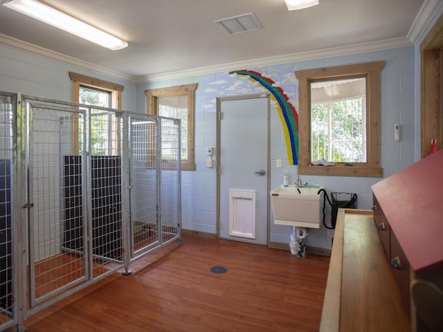 bathroom with crown molding, sink, a healthy amount of sunlight, and wood-type flooring