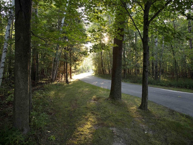 view of road