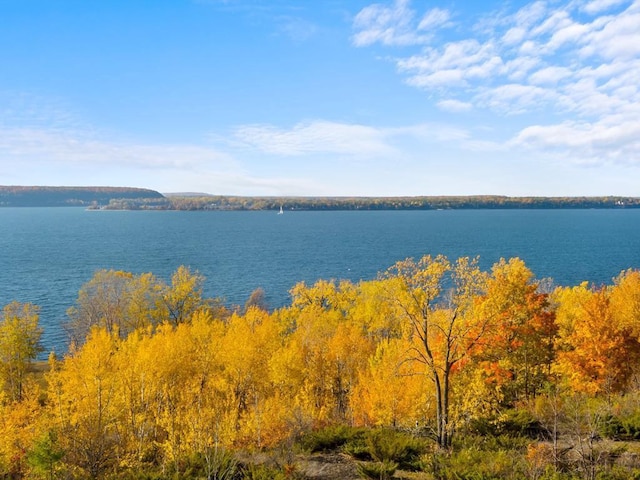 4882 Bay Shore Dr, Sturgeon Bay, WI 54235