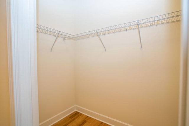 spacious closet with light wood-type flooring