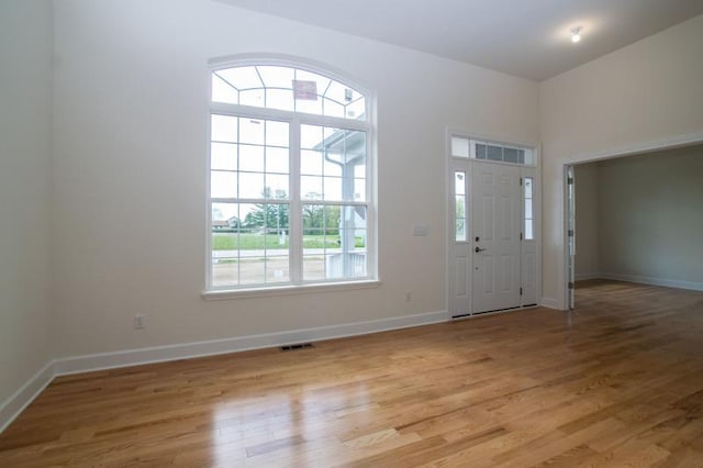 foyer with light wood-type flooring and a wealth of natural light