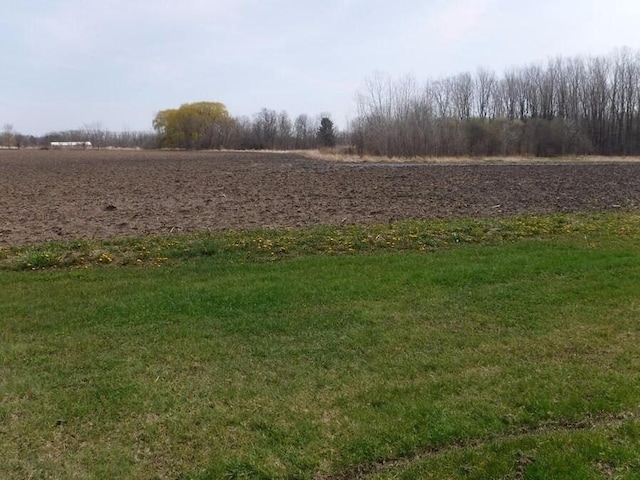 view of yard with a rural view