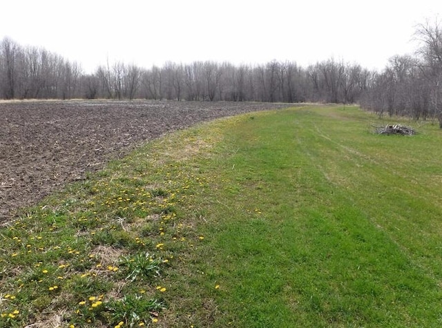 view of yard featuring a rural view