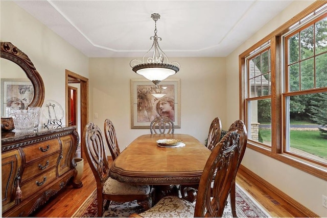 dining space featuring dark hardwood / wood-style floors