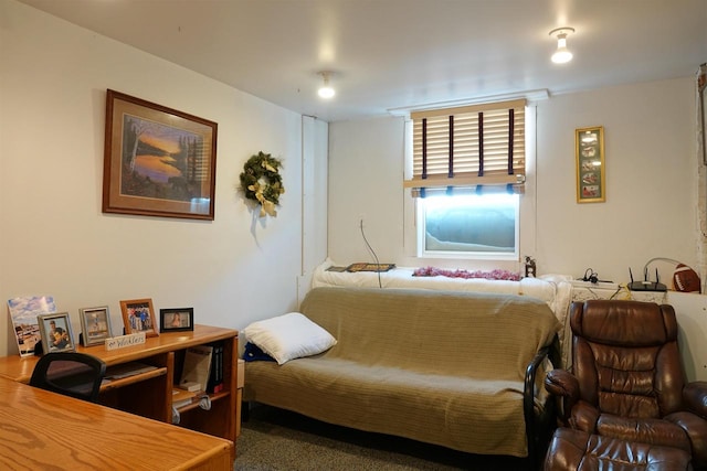 bedroom with dark carpet