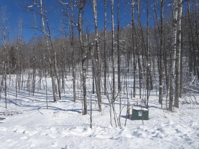 Klug Ln, Athelstane WI, 54104 land for sale