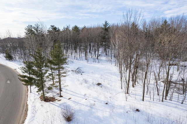 1.51Acres State Hghway 153, Mosinee WI, 54455 land for sale