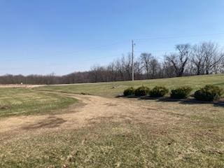 view of yard with a rural view