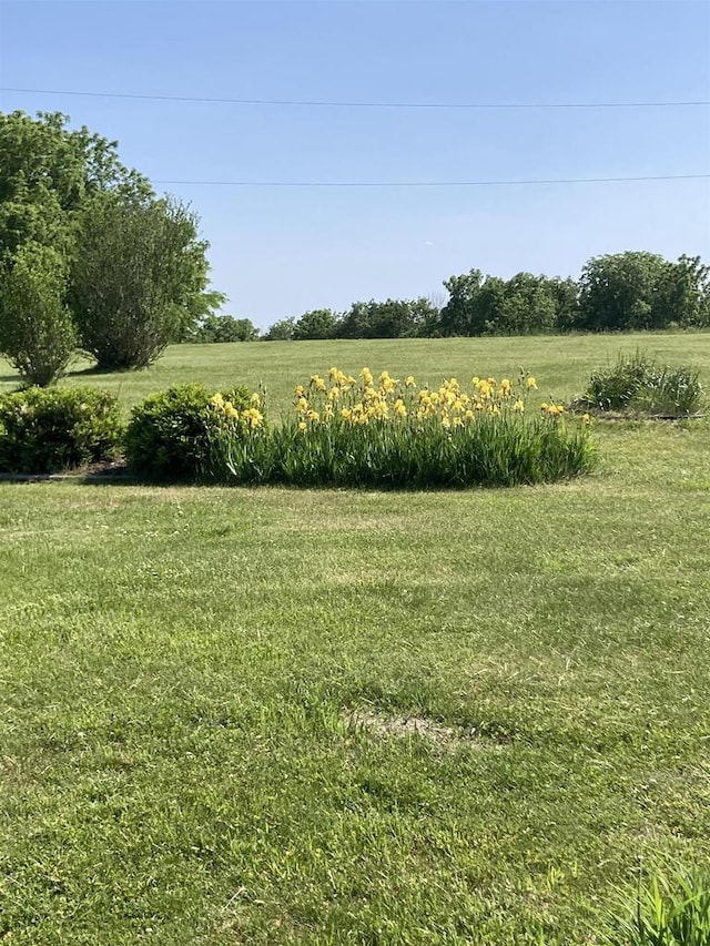 view of nature featuring a rural view