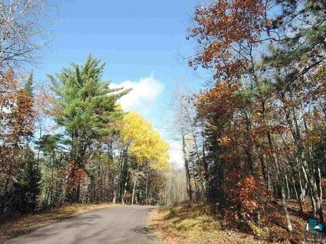 Listing photo 3 for 62XXLOT8 Iron Lake Rd, Iron River WI 54847