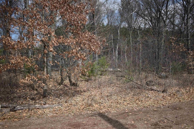 Listing photo 3 for LOT25 Southview Dr, Necedah WI 54646