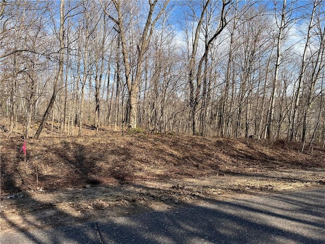 LOT1 Wilderness Hills Ln, Luck WI, 54853 land for sale