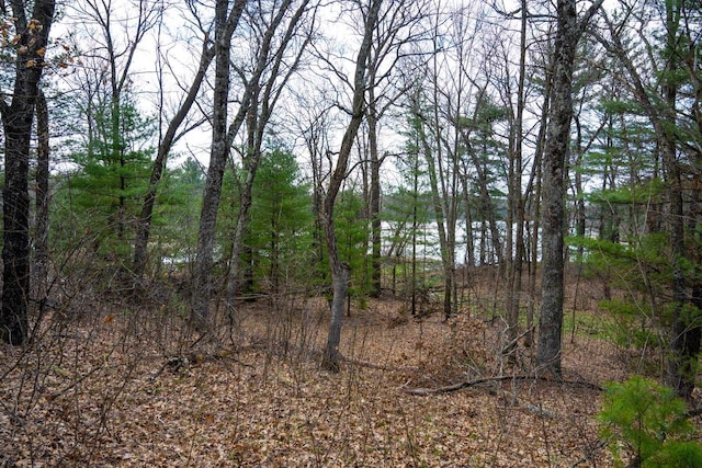 LOT254 Dakota Jct, Friendship WI, 53934 land for sale