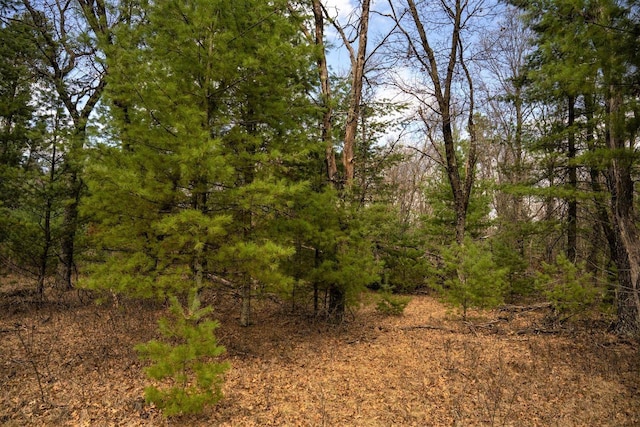 LOT188 18th Ln, Friendship WI, 53934 land for sale