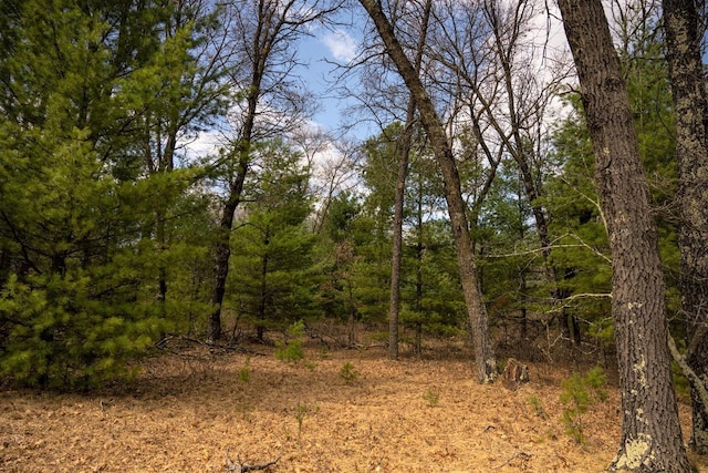 Listing photo 2 for LOT188 18th Ln, Friendship WI 53934