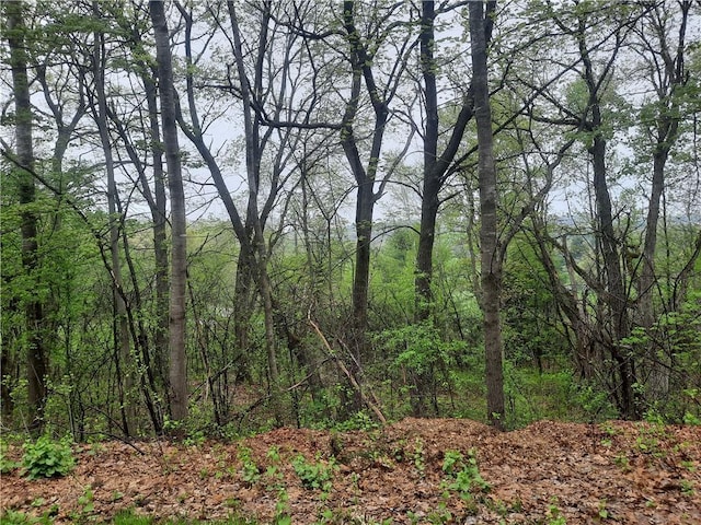 Listing photo 2 for LOT103 Rye Bluff Rd, Black River Falls WI 54615