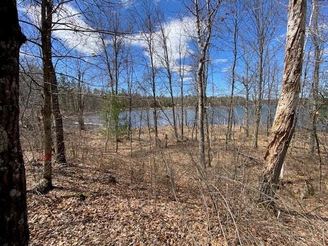 Listing photo 2 for LOT2 Pash Dr, Trego WI 54888